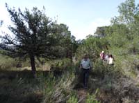 03--Moscarter--Portinatx--Cala-Xarraca-010