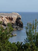 03--Moscarter--Portinatx--Cala-Xarraca-024