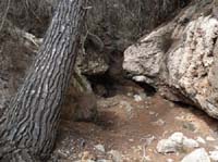 03--Moscarter--Portinatx--Cala-Xarraca-032