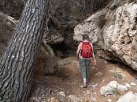 03--Moscarter--Portinatx--Cala-Xarraca-033