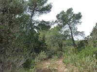 03--Moscarter--Portinatx--Cala-Xarraca-045