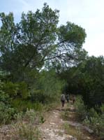 03--Moscarter--Portinatx--Cala-Xarraca-046