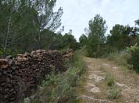 03--Moscarter--Portinatx--Cala-Xarraca-048