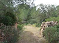 03--Moscarter--Portinatx--Cala-Xarraca-049