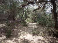 03--Moscarter--Portinatx--Cala-Xarraca-104