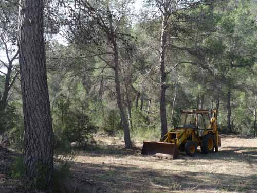 05--Sant-Carles--Cala-Boix--Torre-Valls--Pou-des-Lleo-015