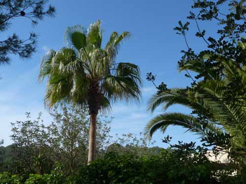 05--Sant-Carles--Cala-Boix--Torre-Valls--Pou-des-Lleo-017