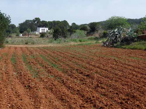 05--Sant-Carles--Cala-Boix--Torre-Valls--Pou-des-Lleo-068