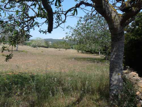 05--Sant-Carles--Cala-Boix--Torre-Valls--Pou-des-Lleo-069