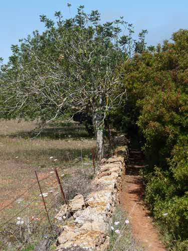 05--Sant-Carles--Cala-Boix--Torre-Valls--Pou-des-Lleo-070