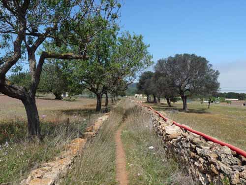 05--Sant-Carles--Cala-Boix--Torre-Valls--Pou-des-Lleo-071