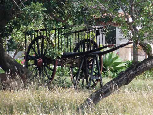 05--Sant-Carles--Cala-Boix--Torre-Valls--Pou-des-Lleo-072