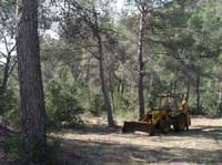 05--Sant-Carles--Cala-Boix--Torre-Valls--Pou-des-Lleo-015