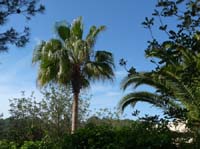 05--Sant-Carles--Cala-Boix--Torre-Valls--Pou-des-Lleo-017