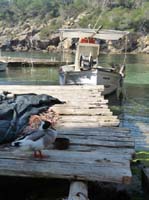 05--Sant-Carles--Cala-Boix--Torre-Valls--Pou-des-Lleo-048