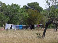 05--Sant-Carles--Cala-Boix--Torre-Valls--Pou-des-Lleo-073