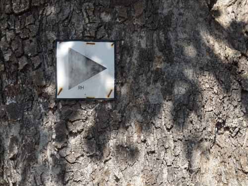 09--San-Carles--Cala-Sant-Vicent-016