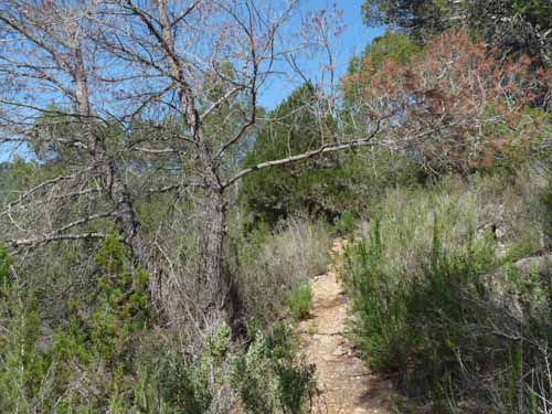 09--San-Carles--Cala-Sant-Vicent-017