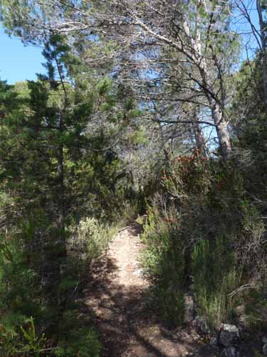 09--San-Carles--Cala-Sant-Vicent-018