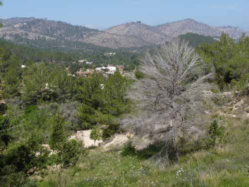 09--San-Carles--Cala-Sant-Vicent-025