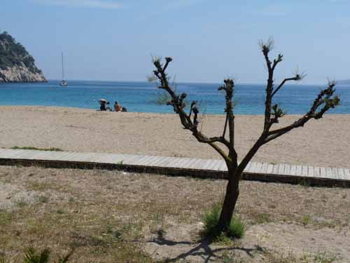 09--San-Carles--Cala-Sant-Vicent-027