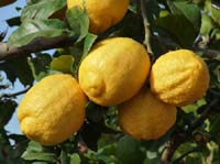 09--San-Carles--Cala-Sant-Vicent-001