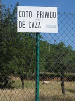 09--San-Carles--Cala-Sant-Vicent-011