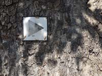 09--San-Carles--Cala-Sant-Vicent-016