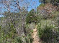 09--San-Carles--Cala-Sant-Vicent-017