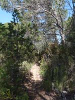 09--San-Carles--Cala-Sant-Vicent-018