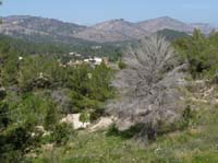 09--San-Carles--Cala-Sant-Vicent-025