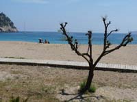 09--San-Carles--Cala-Sant-Vicent-027