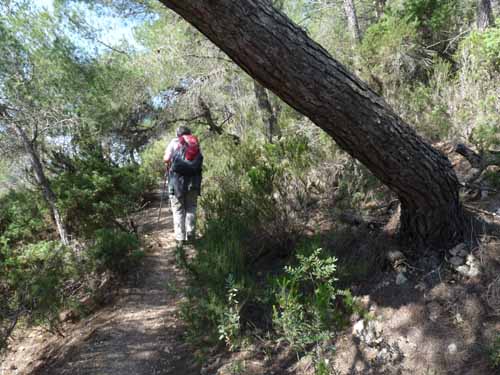08--Sant-Josep--Talaia--CalaTarida-004