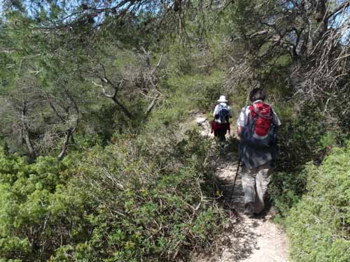 08--Sant-Josep--Talaia--CalaTarida-006