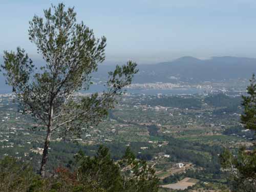 08--Sant-Josep--Talaia--CalaTarida-010