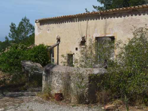 08--Sant-Josep--Talaia--CalaTarida-027