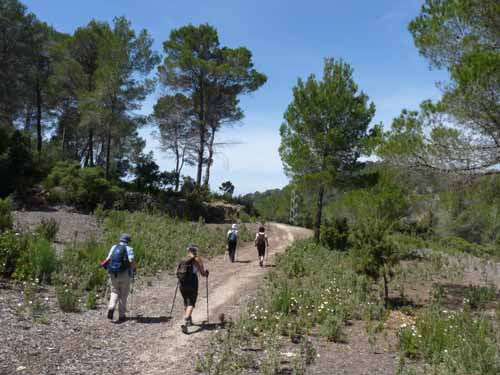 08--Sant-Josep--Talaia--CalaTarida-031