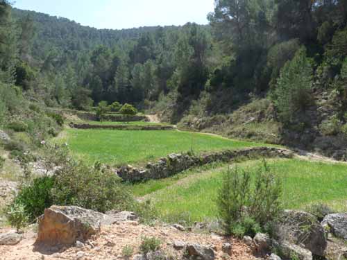 08--Sant-Josep--Talaia--CalaTarida-033