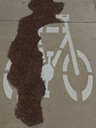 08--Sant-Josep--Talaia--CalaTarida-034