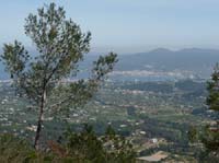 08--Sant-Josep--Talaia--CalaTarida-010