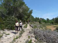 08--Sant-Josep--Talaia--CalaTarida-024