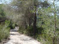 08--Sant-Josep--Talaia--CalaTarida-026