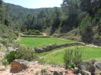 08--Sant-Josep--Talaia--CalaTarida-033