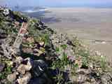 08_Femes-Playa_Quemada_020
