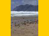 03_Teguise-Famara_069