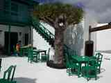 03_Teguise-Famara_087