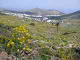 05_Teguise-Haria_080