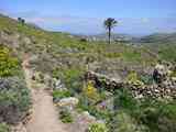 05_Teguise-Haria_081