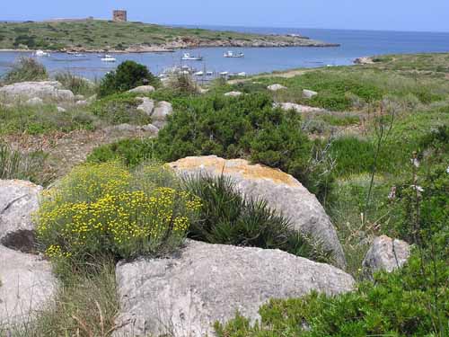 Menorca_040531_038