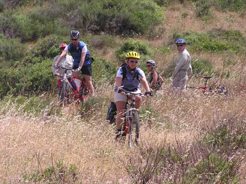 Radfahren in der Gruppe